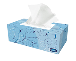 TISSUE FOR OFFICE/CAR